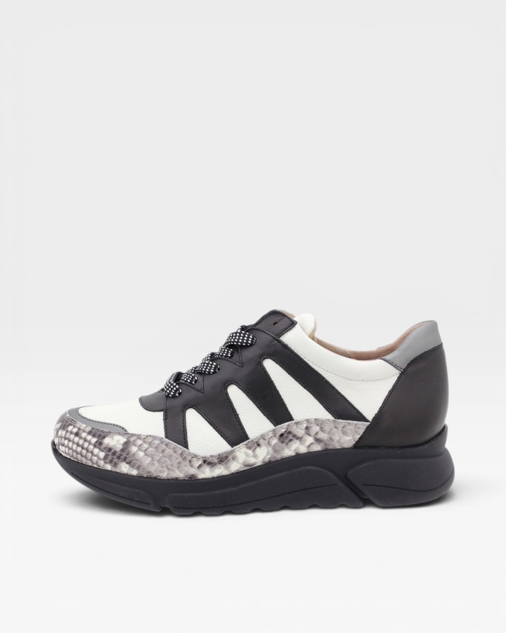 Sneaker Serpiente Hielo 205763