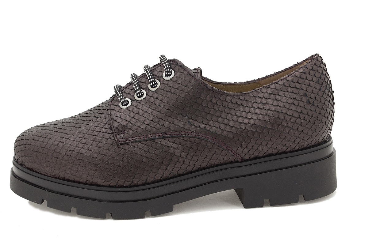 Zapato Cordón Serpiente Burdeos 215675