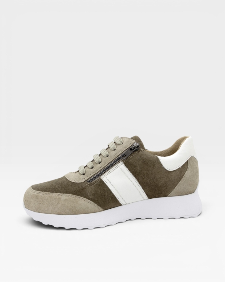Sneaker Ante Hummus 255756