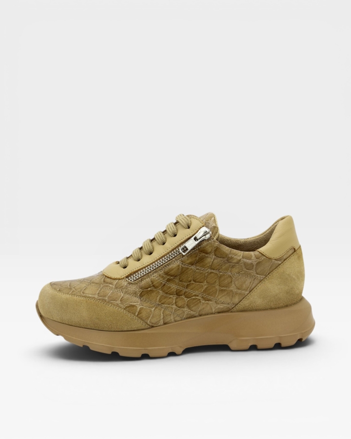 Sneaker Ante Camel 255762
